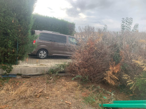 Photo de galerie - AVANT SUPPRESSION DE HAIES DE SAPINETTE 