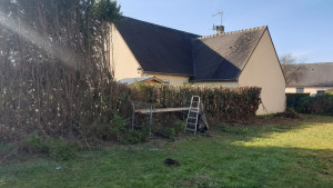 Photo de galerie - Reduction d'une haie.