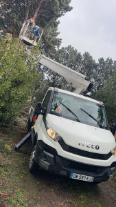 Photo de galerie - Elagage et coupe d'arbres