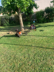 Photo de galerie - Réalisation entretien chez un particulier 