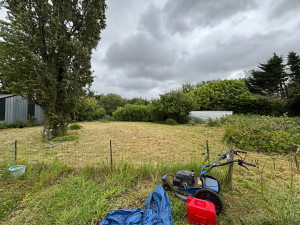 Photo de galerie - Débroussaillage après 1ans sans entretiens 