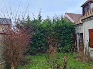 Photo de galerie - Taille de haies et d'arbustes