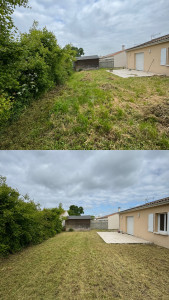 Photo de galerie - Tonte