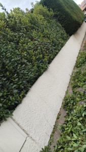 Photo de galerie - Taille de haies et d'arbustes