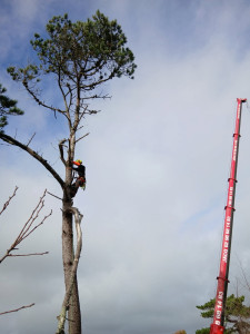 Photo de galerie - Démontage d’un pain maritime à la grue