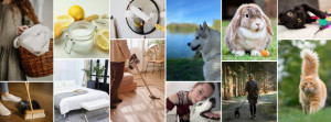 Photo de galerie - Petsitting : Visites à domicile, Promenade canine