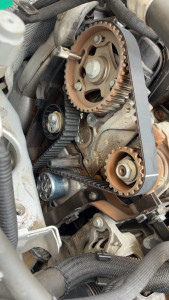 Photo de galerie - Courroie distribution 