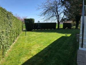 Photo de galerie - Paysagiste - Aménagement du jardin