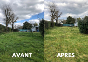 Photo de galerie - Tonte de pelouse - Débroussaillage
