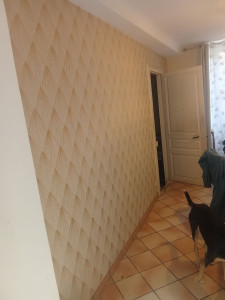 Photo de galerie - Restauration de peinture et tapisserie 