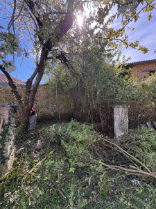 Photo de galerie - Débroussaillage