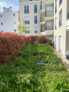 Photo de galerie - Good job 