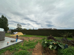 Photo de galerie - Taille de haie thuya