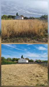 Photo de galerie - Fauchage au rotofil sthil , 2000 m2 en 3h seul.