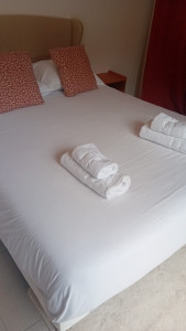 Photo de galerie - Je suis femme de ménage