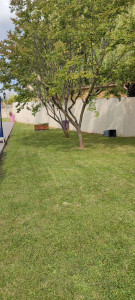 Photo de galerie - Après 