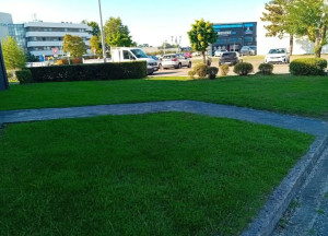 Photo de galerie - Entretien tonte 