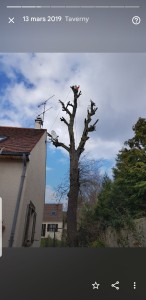 Photo de galerie - Bonjour élagueur grimpeur à votre disposition et spécialiste des arbres dangereux élagage abattage et étage