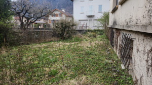 Photo de galerie - Tonte de pelouse - Débroussaillage