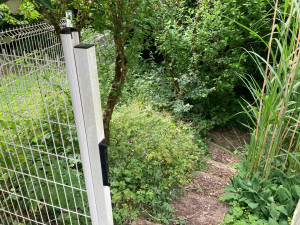 Photo de galerie - Jardinier