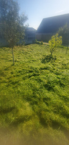 Photo de galerie - Debroussaillage d'un jardin avec ramassage de l'herbe 