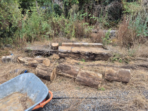 Photo de galerie - Tonte de pelouse - Débroussaillage
