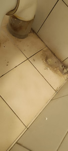 Photo de galerie - Ménage