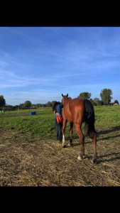 Photo de galerie - Je pratique l’équitation depuis mes 6 ans !