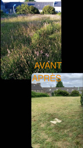 Photo de galerie - Débroussaillage d’un jardin 