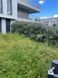 Photo de galerie - Entretien d’un jardin 