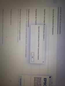 Photo de galerie - Installation imprimante 