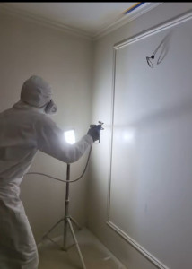 Photo de galerie - Peinture  pistolet 