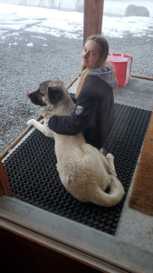 Photo de galerie - Pet-sitting