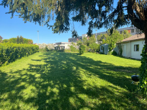 Photo de galerie - Tonte & débroussaillage 