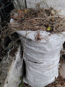 Photo de galerie - évacuation déchets verts gravats plastiques bois toles fibro ciment 