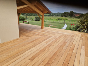Photo de galerie - Terrasse en bois exotique 