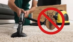 Photo de galerie - Préparation - nettoyage de salle