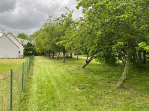 Photo de galerie - Tontes et débroussaillage 
