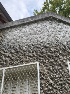 Photo de galerie - Maçonnerie