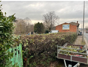 Photo de galerie - élagage de hais 

plus ramassage 