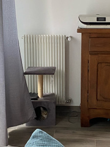 Photo de galerie - Je peux bricoler avec vous 