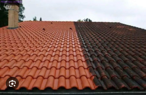 Photo de galerie - ARTISAN FLORE ? NETTOYAGE PROFESSIONNEL DE TOITURE  La différence parle d’elle-même.  Élimination mousses et salissures Protection durable Résultat immédiat  ? Doubs (25) ? Devis gratuit