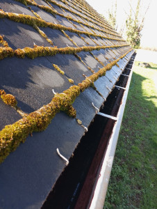 Photo de galerie - Nettoyage gouttières maison 