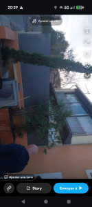 Photo de galerie - Paysagiste - Aménagement du jardin