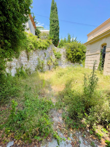 Photo de galerie - Tonte de pelouse - Débroussaillage