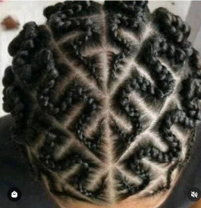 Photo de galerie - Tresses homme et femme sur cheveux naturels et avec rajouts 
