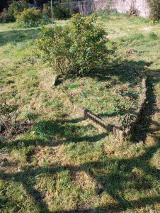 Photo de galerie - Tonte de pelouse - Débroussaillage