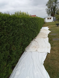 Photo de galerie - 08/2025 photo prise avant.