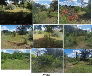 Photo de galerie - Avant mon passage