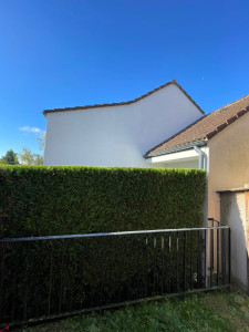 Photo de galerie - Taille haie de Thuyas 